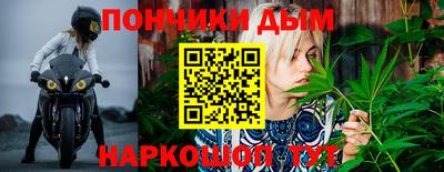МДПВ Пенза