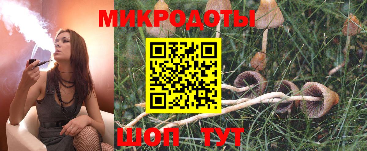 Сальск  Псилоцибиновые грибы Magic Shrooms  Псилоцибиновые грибы Psilocybe  Вход с VPN 