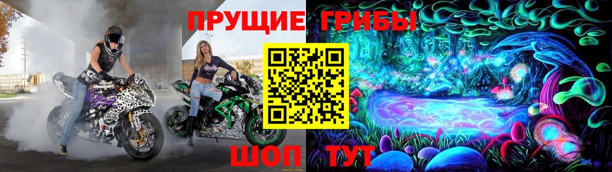 Галлюциногенные грибы Magic Shrooms Сальск